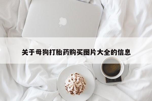 admin 第400页